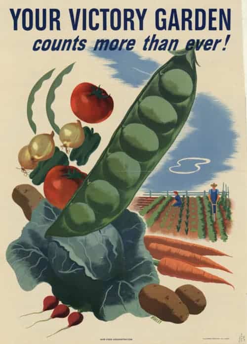 victory-garden victory-garden